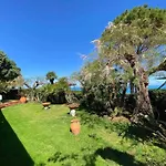 Azzurra